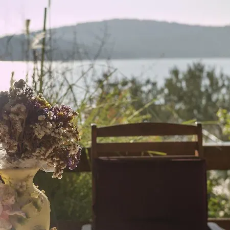 By The Sea Tisno, Murter - 15895 Apartment *